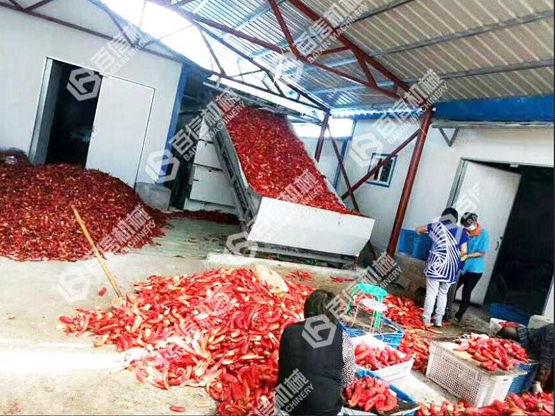 嵩明辣椒烘干機(jī)